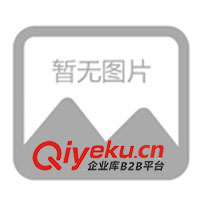 供應活力板、游龍板、沖浪板、滑板車/麥克街板